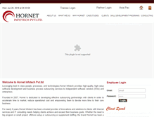 Tablet Screenshot of hornetinfotech.com